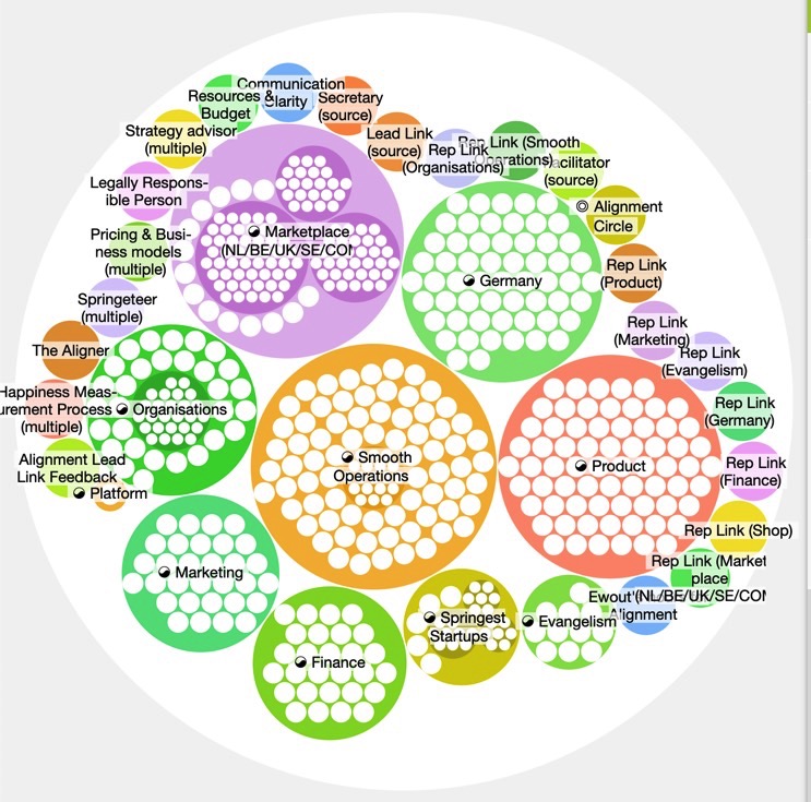 Holacracy's 8 challenges - Springest - For Life Long Learners